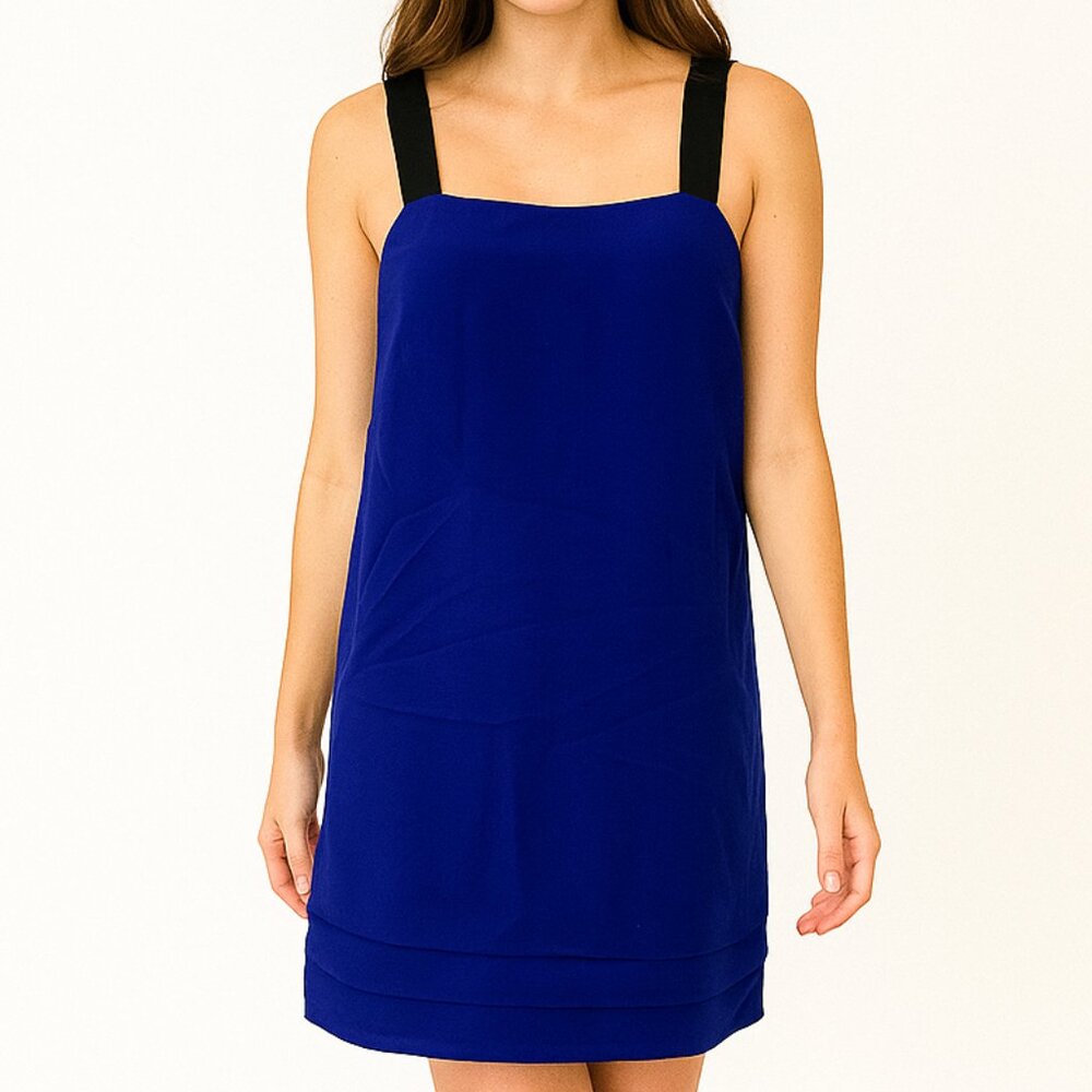 Banana Republic Grosgrain and Pleat Trapeze Shift Dress